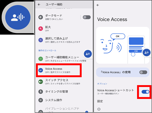 Voice Access